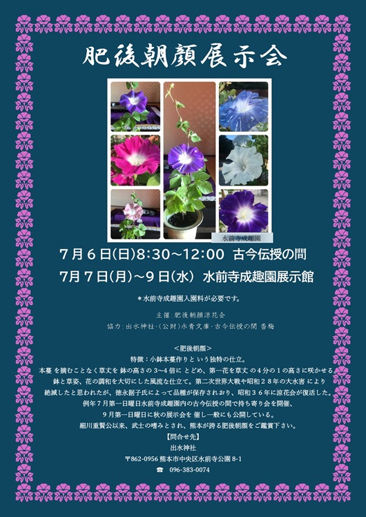 肥後朝顔展示会